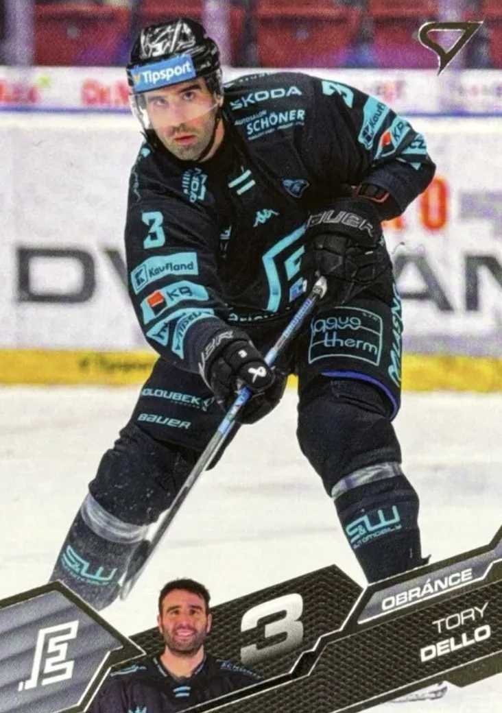 Sportzoo 25-26 I. série (kompletní set řadových karet)